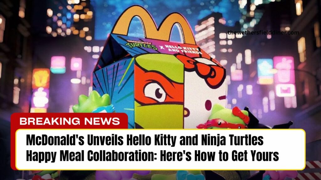 McDonald's Unveils Hello Kitty and Ninja Turtles Happy Meal Collaboration: Here's How to Get Yours